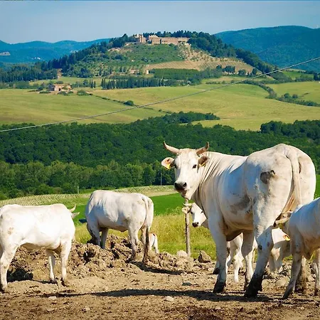 Il Canterino Guardistallo