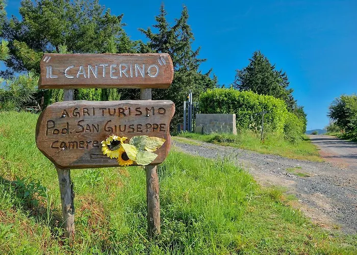 Il Canterino Guardistallo